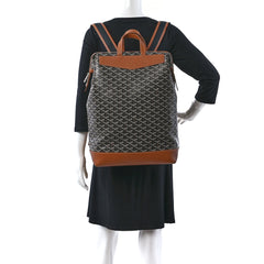 Louis premium Backpack