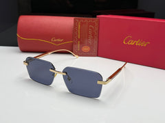 Premium Glasses