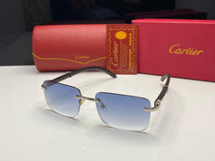 Premium Glasses