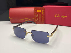 Premium Glasses
